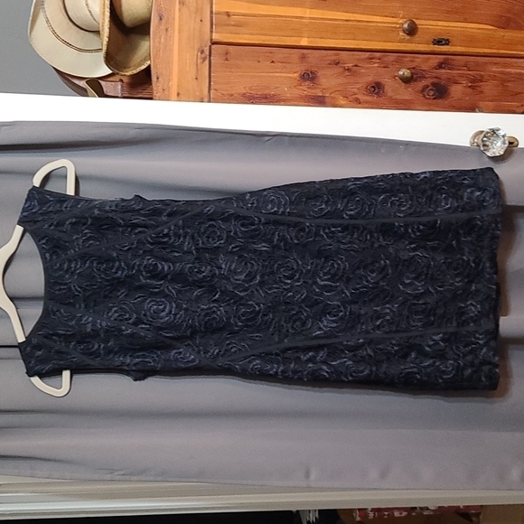 Ann Taylor Womens Lacy Sleeveless Dress Navy Rose Pattern size 6 GUC READ - Picture 1 of 4